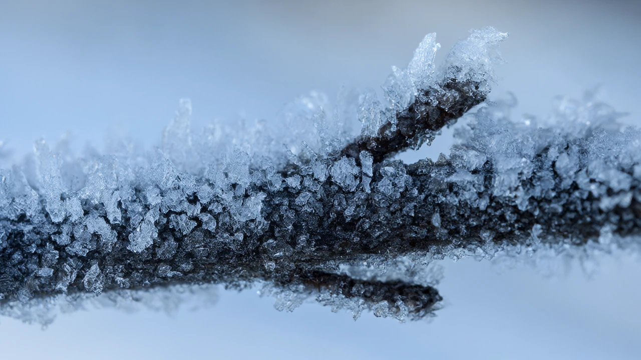 Two Cases Put Wendigo Psychosis in the Textbooks — and Both Happened in the Middle of a Famine
